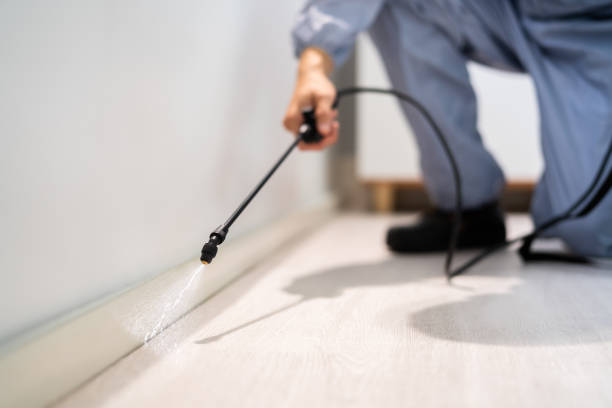 Licensed Rodent Control service in La Habra Heights, CA - Nex Pest Control
