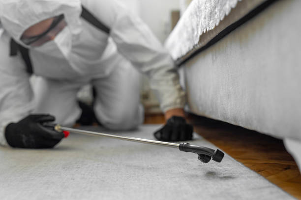 Professional Rodent Control technician working in La Habra Heights, CA