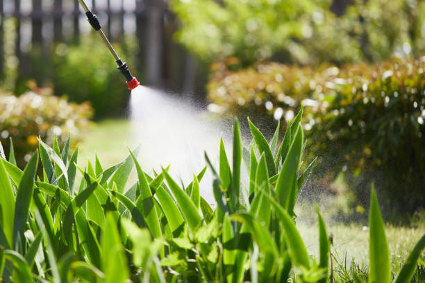 24/7 Emergency Rodent Control experts in La Habra Heights, CA