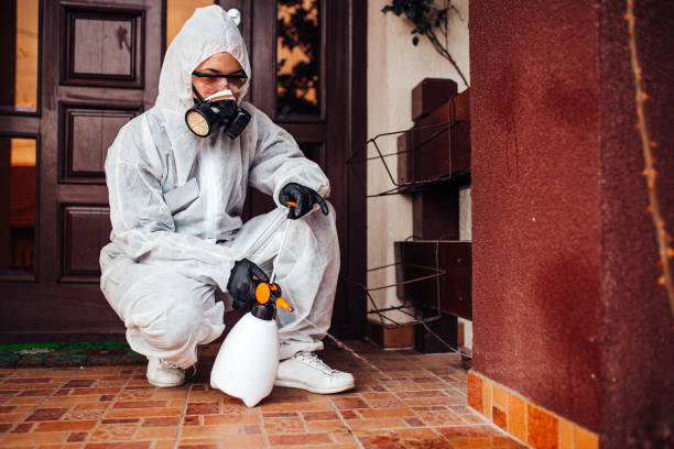Reliable Rodent Control contractor in La Habra Heights, CA by Nex Pest Control