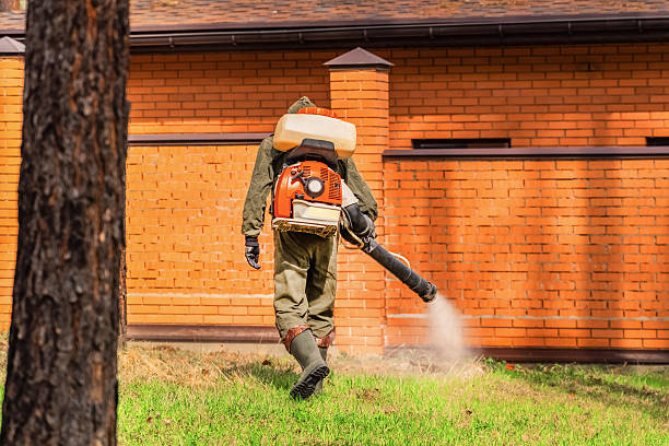Trusted Cockroach Control service in La Habra Heights, CA - Nex Pest Control